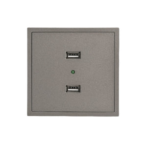 Double USB Switch Gray