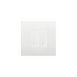 2G SWITCH