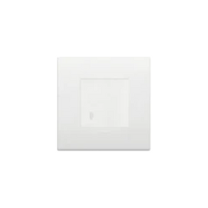 1G SWITCH
