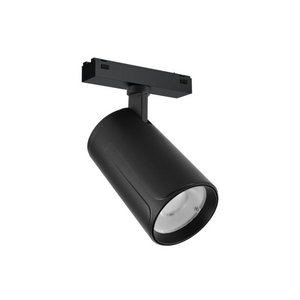 Spot Light 2